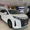 BYD M9 ADVANCED